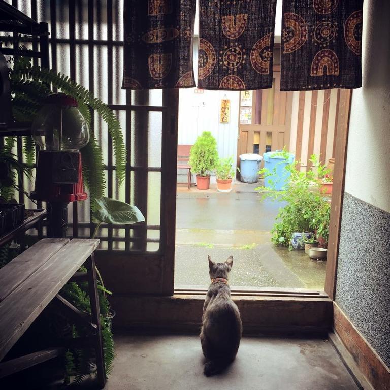 Buddha Pensión Kuchikumano Tanabe Exterior foto